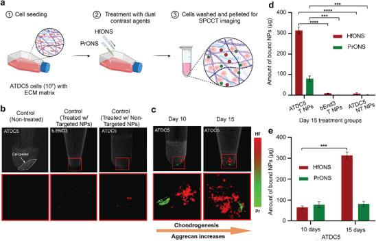 https://cdn.ncbi.nlm.nih.gov/pmc/blobs/4d3e/11633496/1d289cf2e1d7/ADVS-11-2408408-g005.jpg