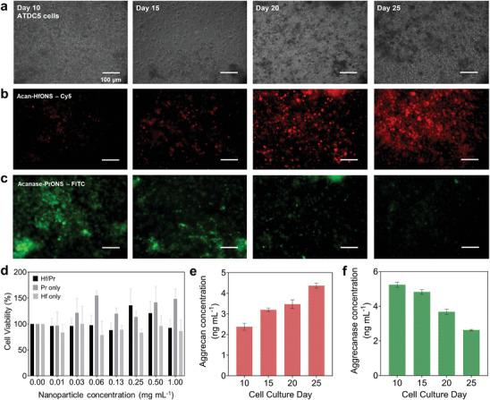 https://cdn.ncbi.nlm.nih.gov/pmc/blobs/4d3e/11633496/f6624c90d3f8/ADVS-11-2408408-g009.jpg