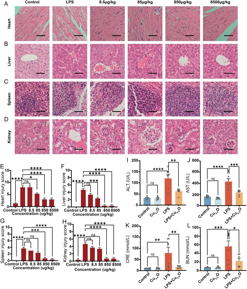 https://cdn.ncbi.nlm.nih.gov/pmc/blobs/4d40/11662683/75a675eac651/IJN-19-13507-g0008.jpg
