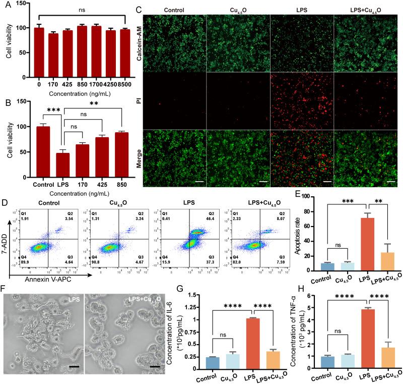 https://cdn.ncbi.nlm.nih.gov/pmc/blobs/4d40/11662683/c1008eb1ed5a/IJN-19-13507-g0003.jpg