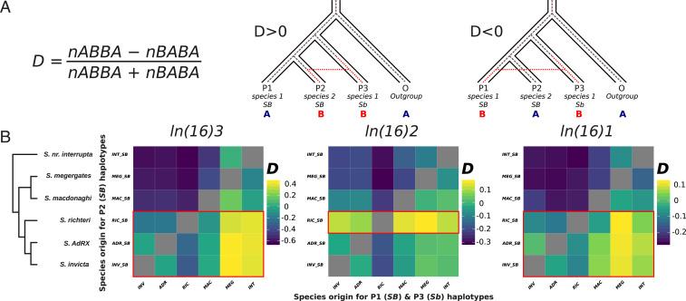 https://cdn.ncbi.nlm.nih.gov/pmc/blobs/4d43/9407637/ac6e01a2cd5e/pnas.2201040119fig02.jpg