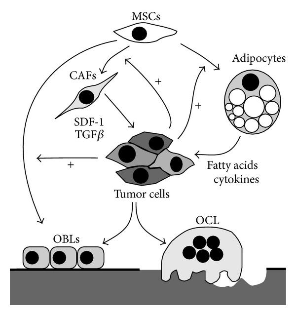 https://cdn.ncbi.nlm.nih.gov/pmc/blobs/4d45/4058249/c60564deeffe/BMRI2014-167035.002.jpg
