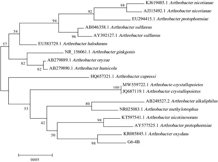 https://cdn.ncbi.nlm.nih.gov/pmc/blobs/4d49/8867256/e93ec120d3c1/fbioe-09-813079-g002.jpg