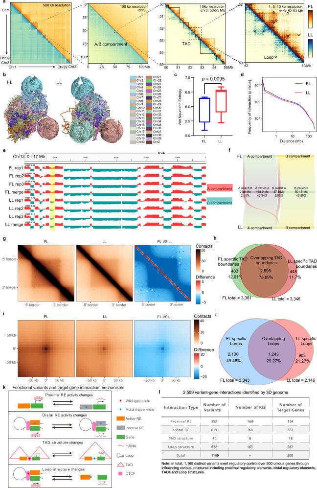 https://cdn.ncbi.nlm.nih.gov/pmc/blobs/4d4b/11519623/b56bccf2efd0/41467_2024_53692_Fig3_HTML.jpg