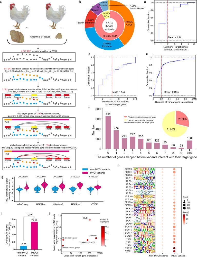 https://cdn.ncbi.nlm.nih.gov/pmc/blobs/4d4b/11519623/c82b620669a4/41467_2024_53692_Fig5_HTML.jpg