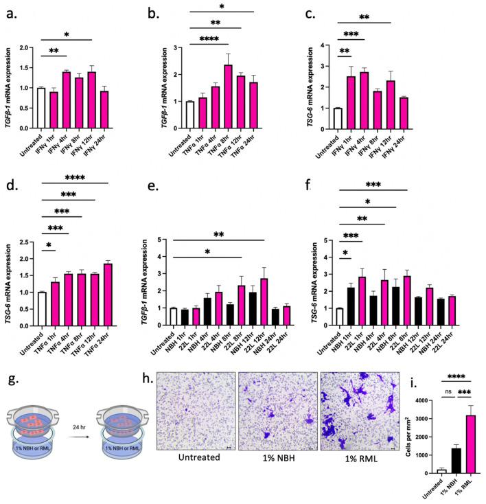 https://cdn.ncbi.nlm.nih.gov/pmc/blobs/4d4b/9800558/3379e2e74464/41598_2022_26628_Fig2_HTML.jpg