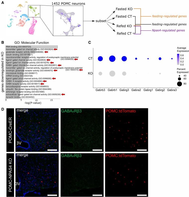 https://cdn.ncbi.nlm.nih.gov/pmc/blobs/4d4d/12123070/4d5675afb913/bqaf083f6.jpg