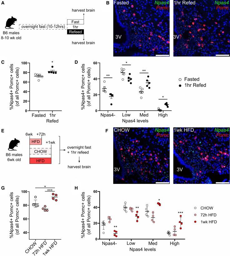 https://cdn.ncbi.nlm.nih.gov/pmc/blobs/4d4d/12123070/5bfb289a6230/bqaf083f1.jpg