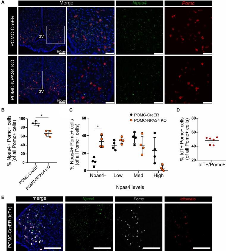 https://cdn.ncbi.nlm.nih.gov/pmc/blobs/4d4d/12123070/b5b8e16d252d/bqaf083f2.jpg