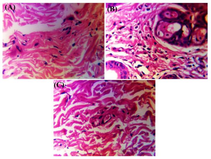 https://cdn.ncbi.nlm.nih.gov/pmc/blobs/4d51/10672792/5196f1fd5f1e/molecules-28-07508-g010.jpg
