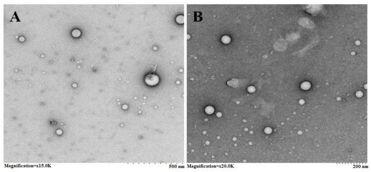 https://cdn.ncbi.nlm.nih.gov/pmc/blobs/4d51/10672792/d5418678845e/molecules-28-07508-g002.jpg