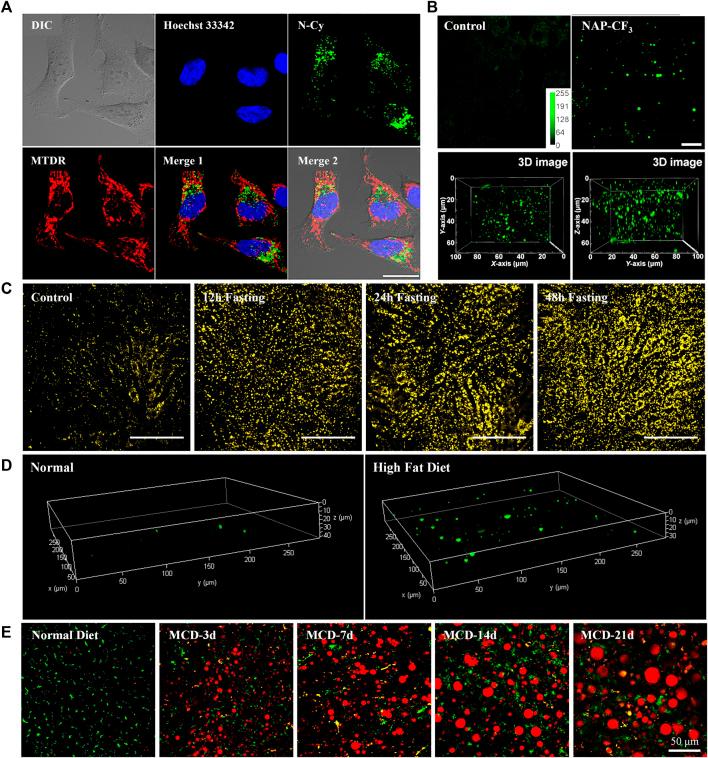 https://cdn.ncbi.nlm.nih.gov/pmc/blobs/4d51/9733596/d273a257da22/fchem-10-1072143-g002.jpg