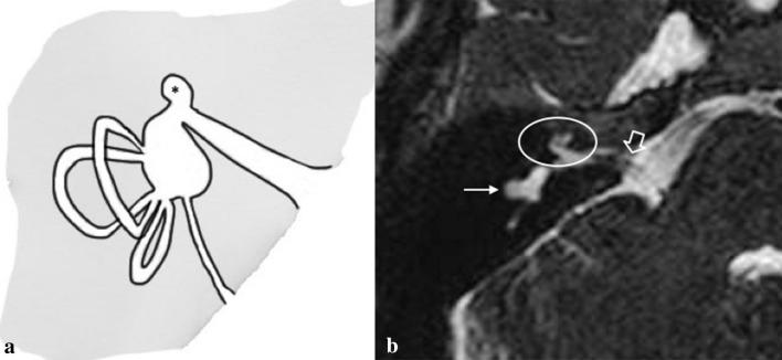 https://cdn.ncbi.nlm.nih.gov/pmc/blobs/4d53/8520521/0ef7eef1daa8/11547_2021_1387_Fig7_HTML.jpg