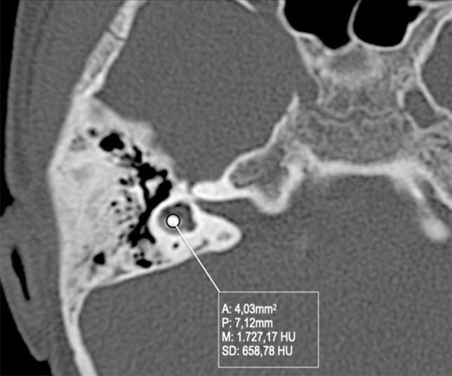 https://cdn.ncbi.nlm.nih.gov/pmc/blobs/4d53/8520521/2a7f70c51924/11547_2021_1387_Fig14_HTML.jpg
