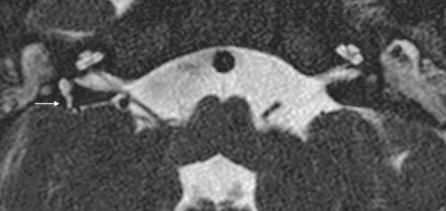 https://cdn.ncbi.nlm.nih.gov/pmc/blobs/4d53/8520521/5892acf87b5b/11547_2021_1387_Fig15_HTML.jpg