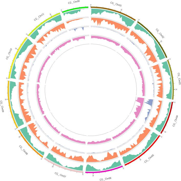 https://cdn.ncbi.nlm.nih.gov/pmc/blobs/4d54/11755929/3e2d4a0f644e/12870_2025_6071_Fig4_HTML.jpg