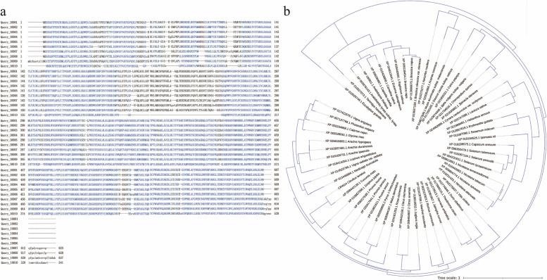 https://cdn.ncbi.nlm.nih.gov/pmc/blobs/4d54/11755929/8ce3b4d9001a/12870_2025_6071_Fig7_HTML.jpg