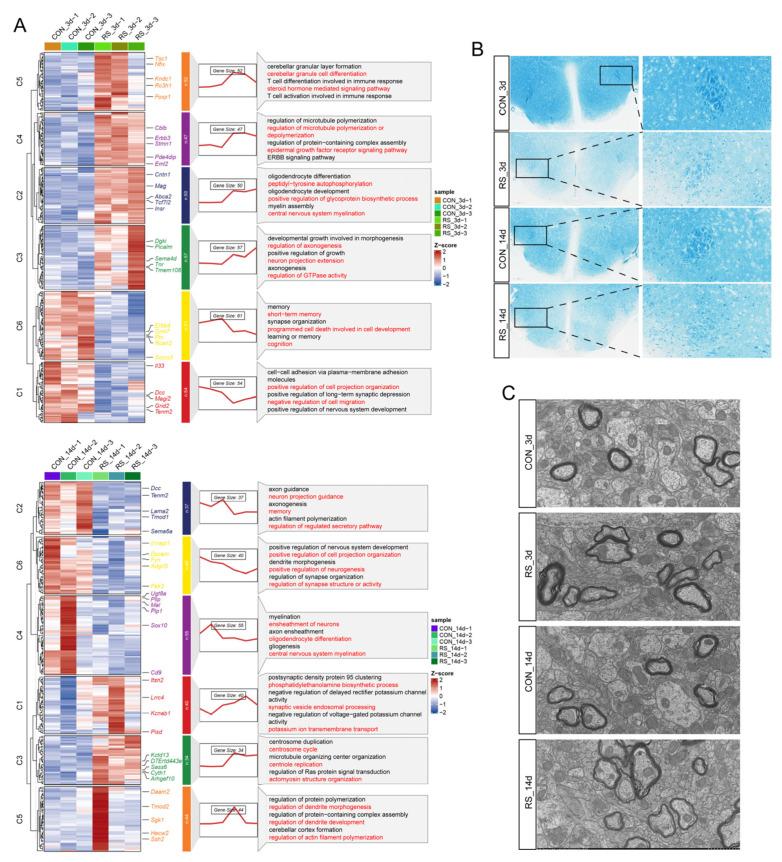 https://cdn.ncbi.nlm.nih.gov/pmc/blobs/4d55/12026842/3c9b9d950865/ijms-26-03517-g001.jpg