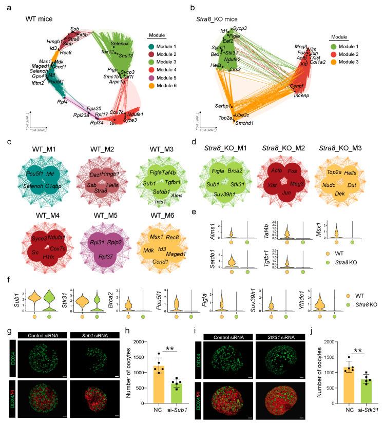 https://cdn.ncbi.nlm.nih.gov/pmc/blobs/4d57/12027774/8e6c59cd8ebd/ijms-26-03734-g004.jpg