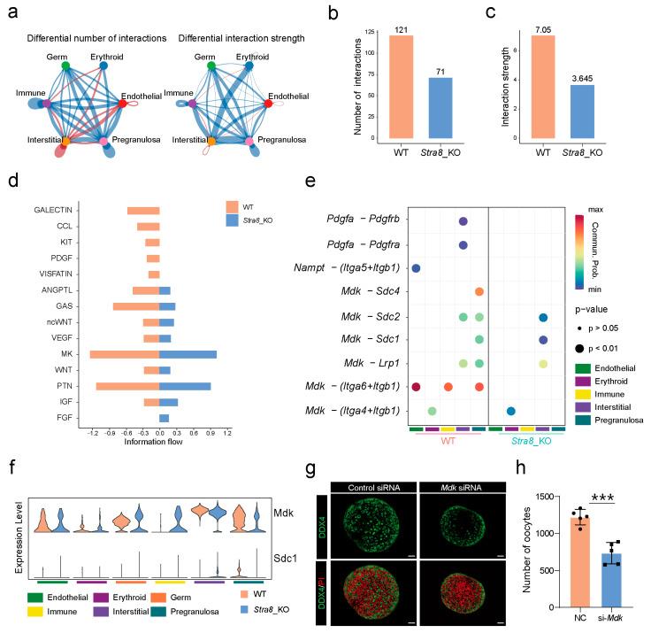 https://cdn.ncbi.nlm.nih.gov/pmc/blobs/4d57/12027774/c3fa60371332/ijms-26-03734-g005.jpg
