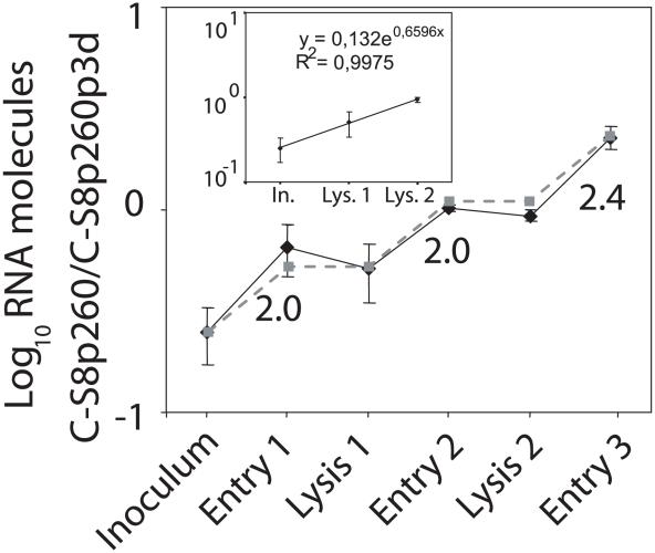 https://cdn.ncbi.nlm.nih.gov/pmc/blobs/4d5c/3060069/556398a59f49/pgen.1001344.g004.jpg