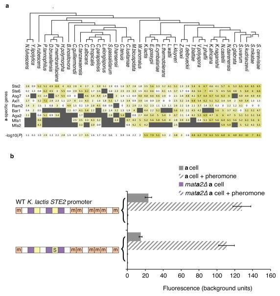 https://cdn.ncbi.nlm.nih.gov/pmc/blobs/4d5d/4531262/12348137562f/nihms697808f12.jpg