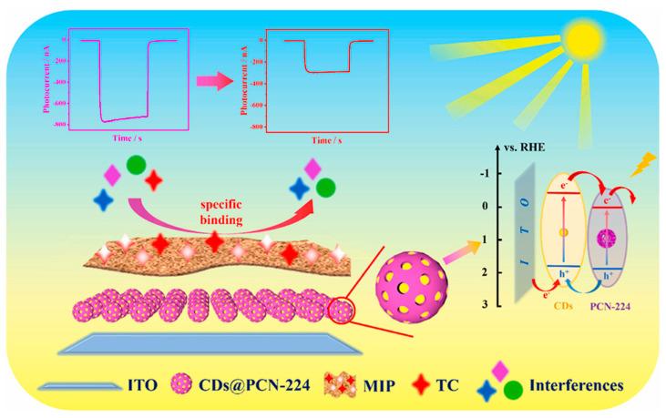 https://cdn.ncbi.nlm.nih.gov/pmc/blobs/4d5e/12024749/ffd2b862cbb7/biosensors-15-00227-g004.jpg