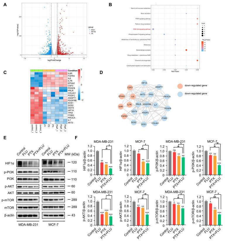 https://cdn.ncbi.nlm.nih.gov/pmc/blobs/4d61/10606573/827eb2f93956/ijms-24-15121-g004.jpg