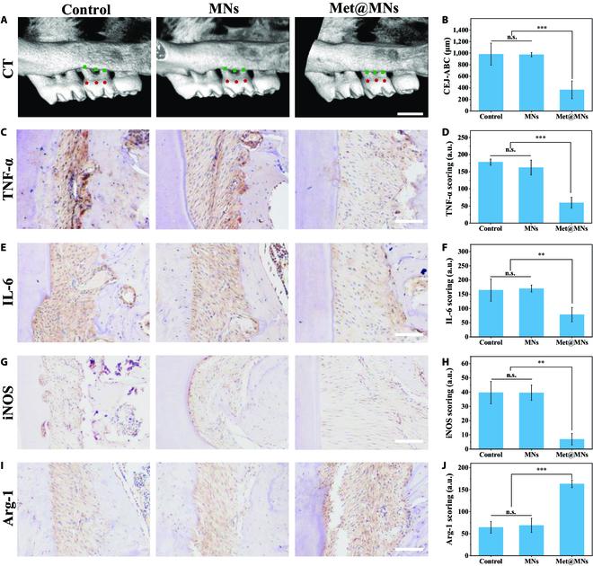 https://cdn.ncbi.nlm.nih.gov/pmc/blobs/4d62/10202374/7ea3cfcd3ea6/research.0119.fig.005.jpg