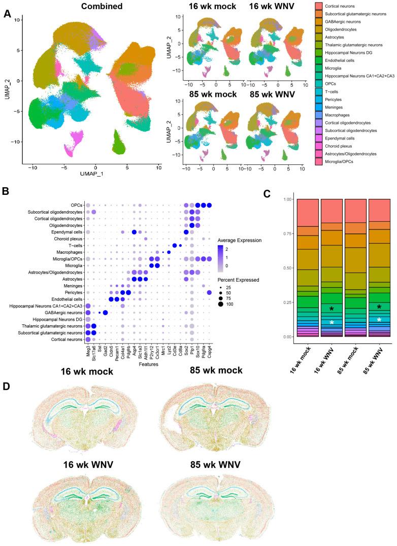 https://cdn.ncbi.nlm.nih.gov/pmc/blobs/4d65/11274721/39358d933fe2/biomolecules-14-00808-g002.jpg