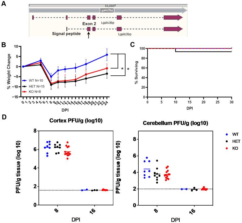https://cdn.ncbi.nlm.nih.gov/pmc/blobs/4d65/11274721/b0d1a731fab9/biomolecules-14-00808-g004.jpg