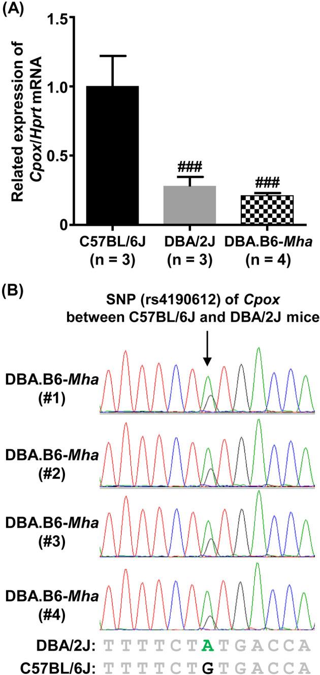 https://cdn.ncbi.nlm.nih.gov/pmc/blobs/4d65/9671764/9a7dca09d937/expanim-71-433-g003.jpg