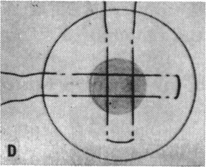 https://cdn.ncbi.nlm.nih.gov/pmc/blobs/4d67/1312688/29329022d781/taos00044-0592-b.jpg