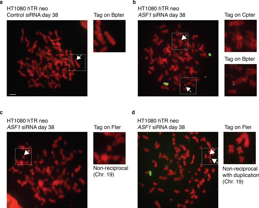 https://cdn.ncbi.nlm.nih.gov/pmc/blobs/4d68/3946341/4ee5db6faadc/nihms546127f2.jpg