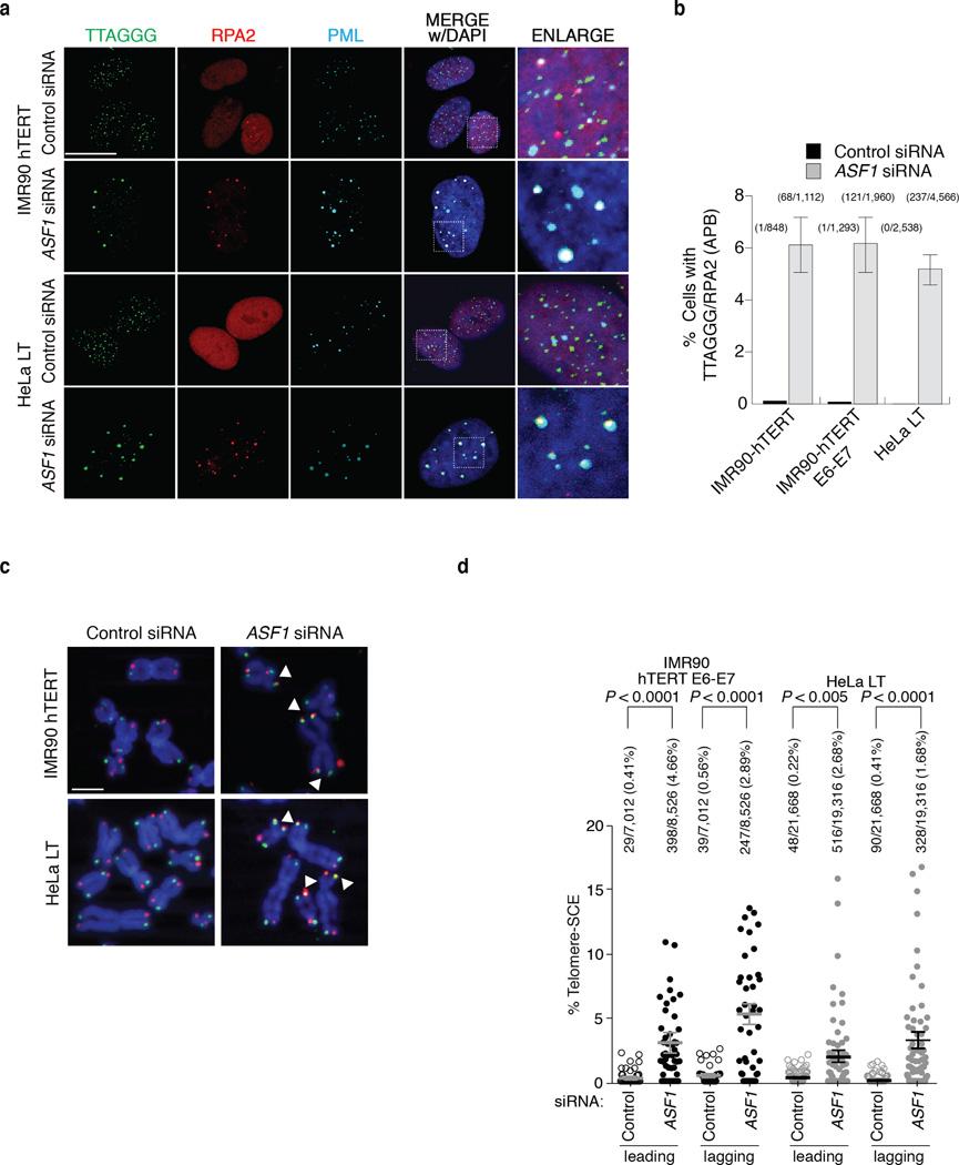 https://cdn.ncbi.nlm.nih.gov/pmc/blobs/4d68/3946341/72291083e62a/nihms546127f1.jpg