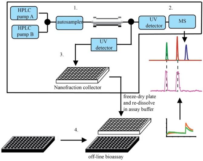 https://cdn.ncbi.nlm.nih.gov/pmc/blobs/4d69/6484542/0b5671a9574e/10.1177_2472555218822098-fig3.jpg