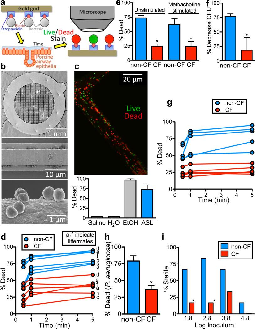 https://cdn.ncbi.nlm.nih.gov/pmc/blobs/4d6a/3390761/2df3cfe50d9c/nihms368882f1.jpg
