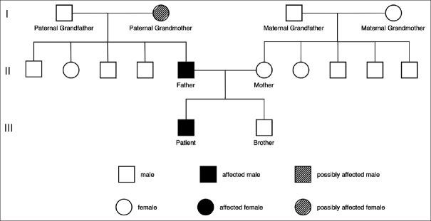 https://cdn.ncbi.nlm.nih.gov/pmc/blobs/4d6b/10361439/d270032f3dfb/TJO-13-238-g003.jpg