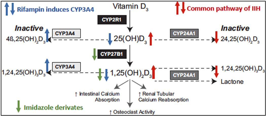 https://cdn.ncbi.nlm.nih.gov/pmc/blobs/4d6c/10441173/3a15dbc3a264/nihms-1918779-f0001.jpg