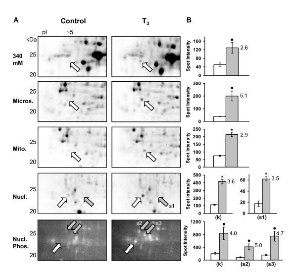 https://cdn.ncbi.nlm.nih.gov/pmc/blobs/4d6d/2025591/52274141462e/1471-213X-7-94-5.jpg