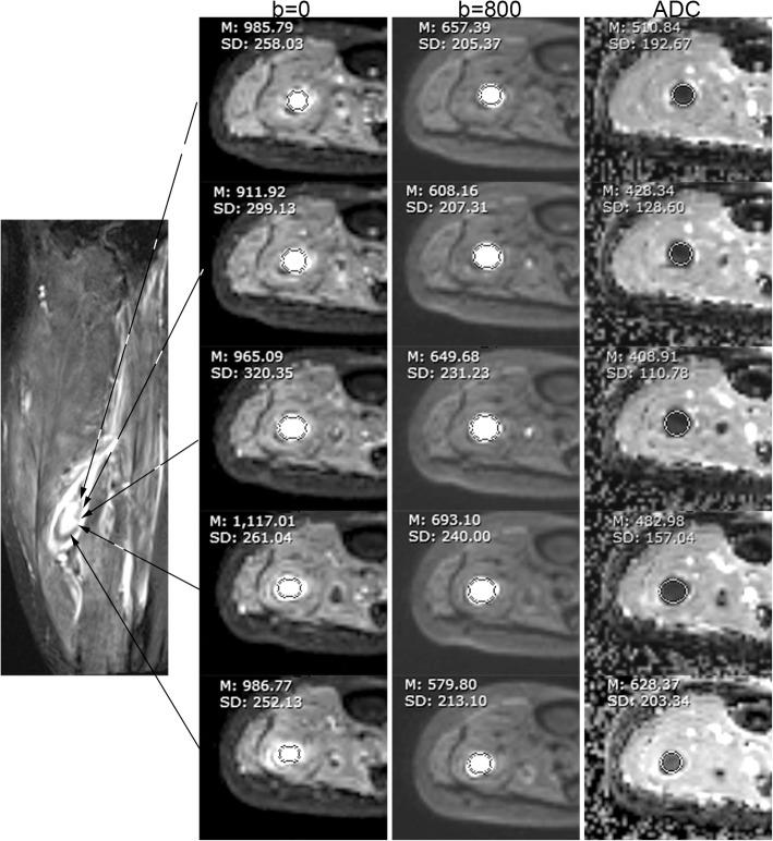 https://cdn.ncbi.nlm.nih.gov/pmc/blobs/4d6d/6615231/b58dc139305f/12968_2019_552_Fig4_HTML.jpg