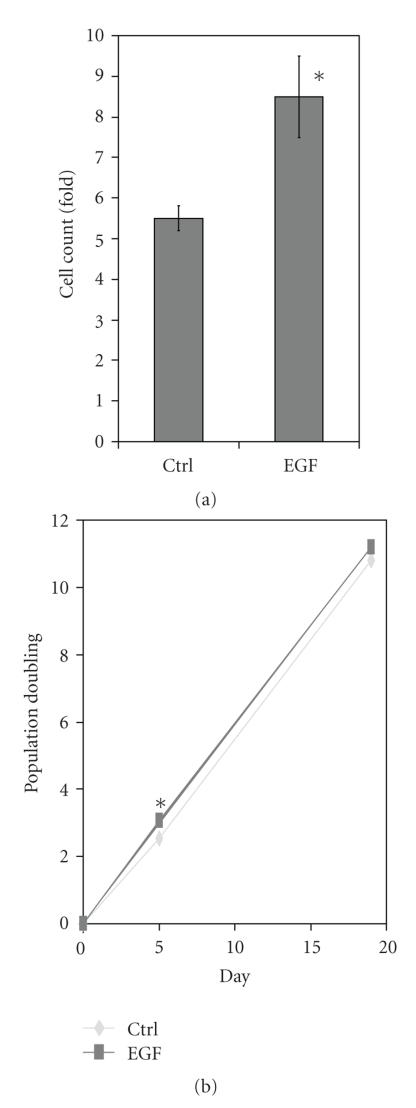 https://cdn.ncbi.nlm.nih.gov/pmc/blobs/4d6e/2825653/047812ecff4b/JBB2010-795385.001.jpg