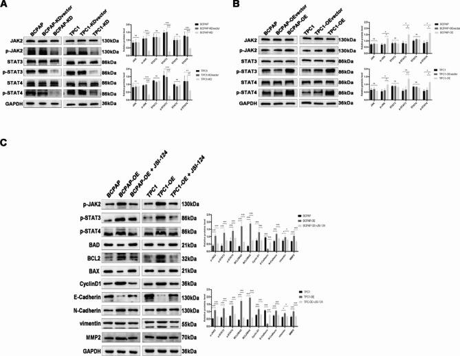 https://cdn.ncbi.nlm.nih.gov/pmc/blobs/4d70/10475200/3831533f620c/12935_2023_3033_Fig8_HTML.jpg