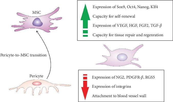 https://cdn.ncbi.nlm.nih.gov/pmc/blobs/4d71/12003036/ce49498e3451/ACP2025-4845416.003.jpg