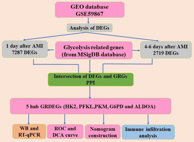 https://cdn.ncbi.nlm.nih.gov/pmc/blobs/4d72/11234719/3dba7f2256b6/12872_2024_3989_Fig1_HTML.jpg