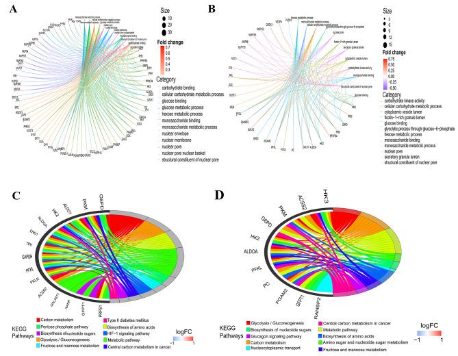 https://cdn.ncbi.nlm.nih.gov/pmc/blobs/4d72/11234719/3e0c36a9db54/12872_2024_3989_Fig3_HTML.jpg