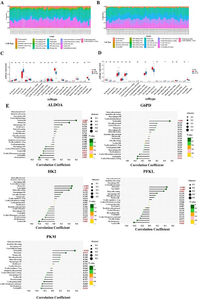 https://cdn.ncbi.nlm.nih.gov/pmc/blobs/4d72/11234719/42523e308260/12872_2024_3989_Fig5_HTML.jpg