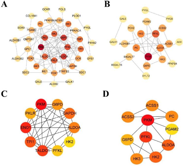 https://cdn.ncbi.nlm.nih.gov/pmc/blobs/4d72/11234719/c79b04dbaef6/12872_2024_3989_Fig4_HTML.jpg