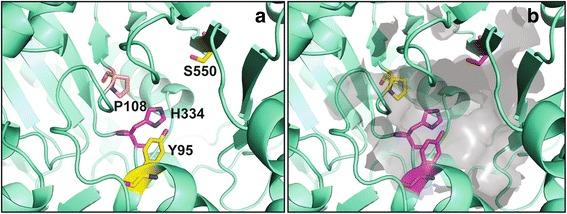 https://cdn.ncbi.nlm.nih.gov/pmc/blobs/4d72/5741869/28bc2a38530b/12859_2017_1987_Fig4_HTML.jpg