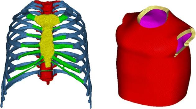 https://cdn.ncbi.nlm.nih.gov/pmc/blobs/4d73/6444614/d6fbd07e0b3b/12938_2019_652_Fig2_HTML.jpg